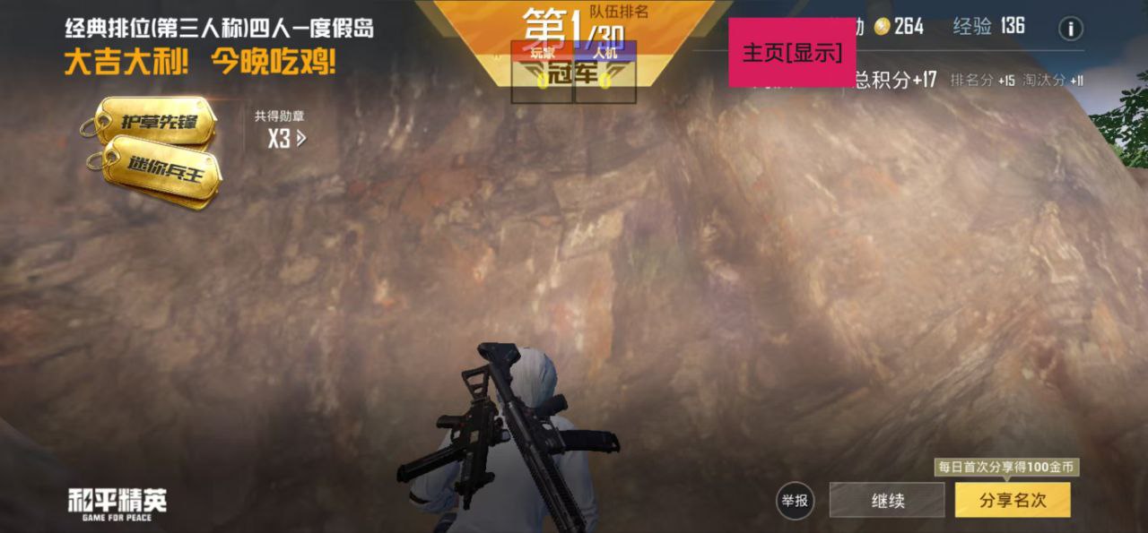 和平精英《太极》辅助